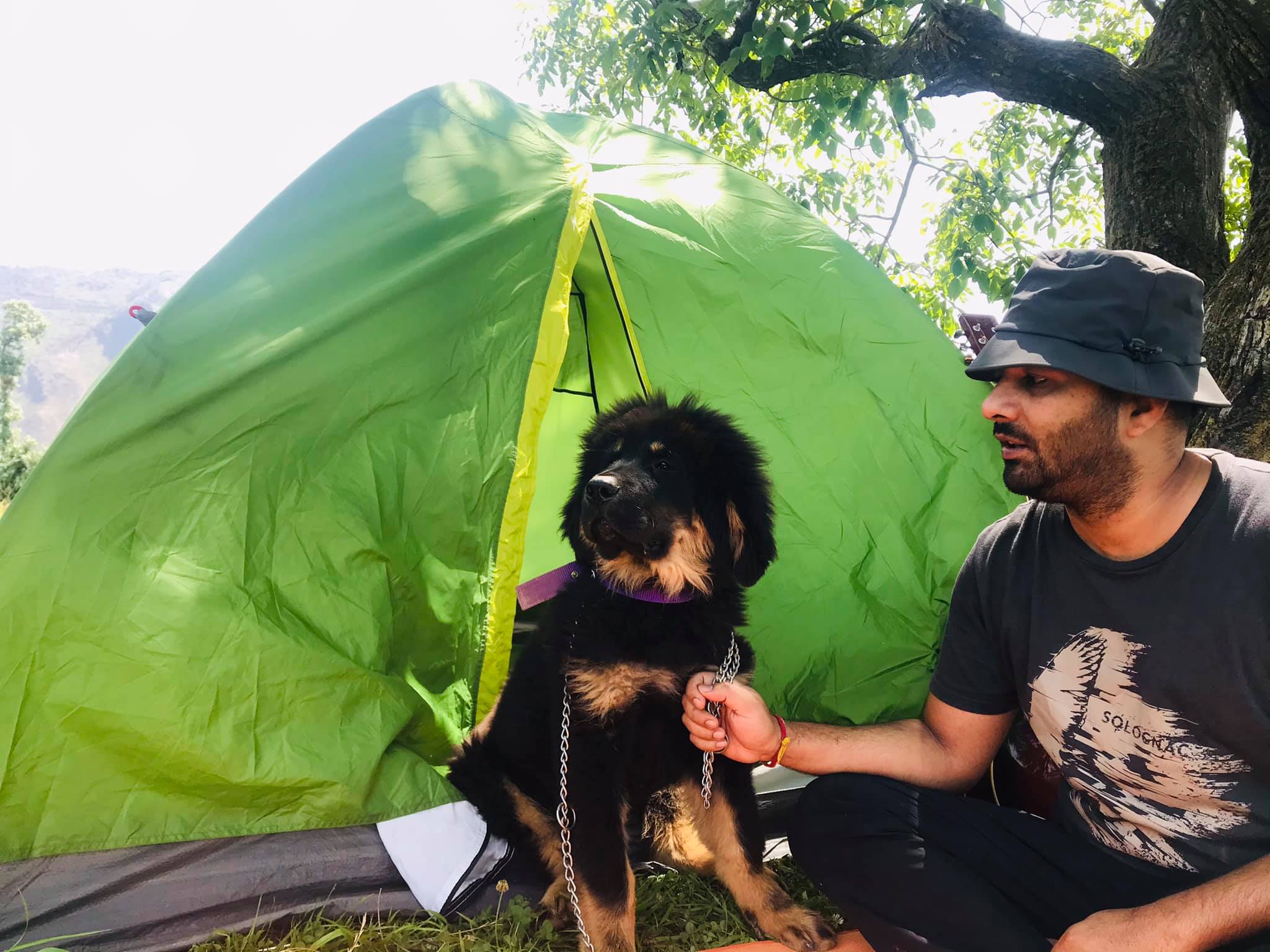 Pet-friendly resort