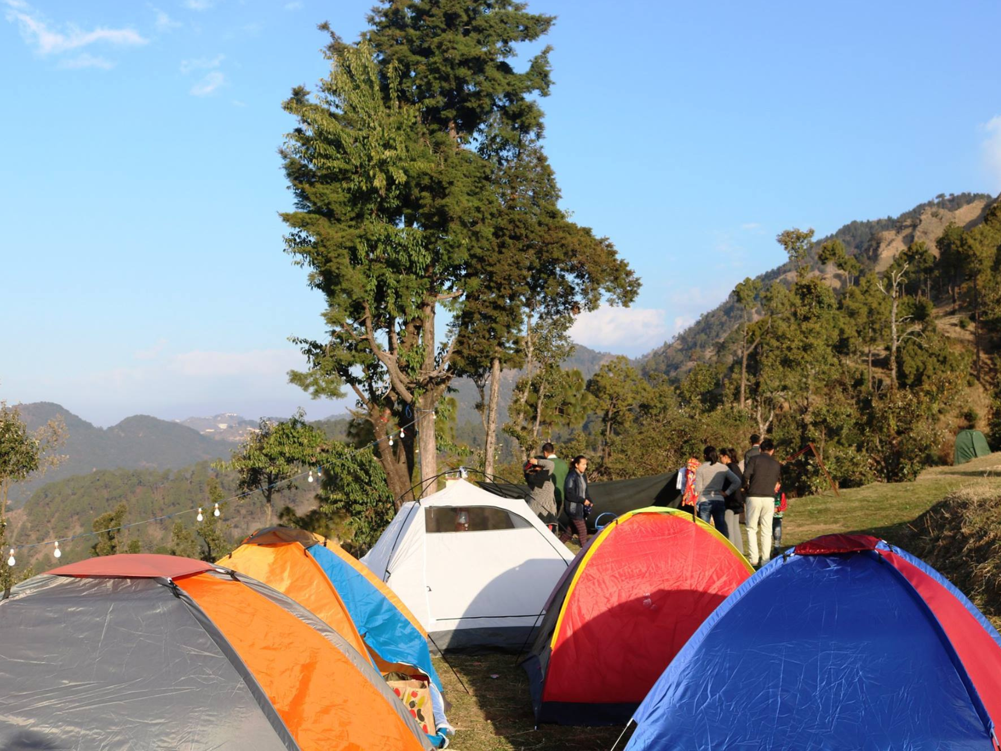 Group Camps