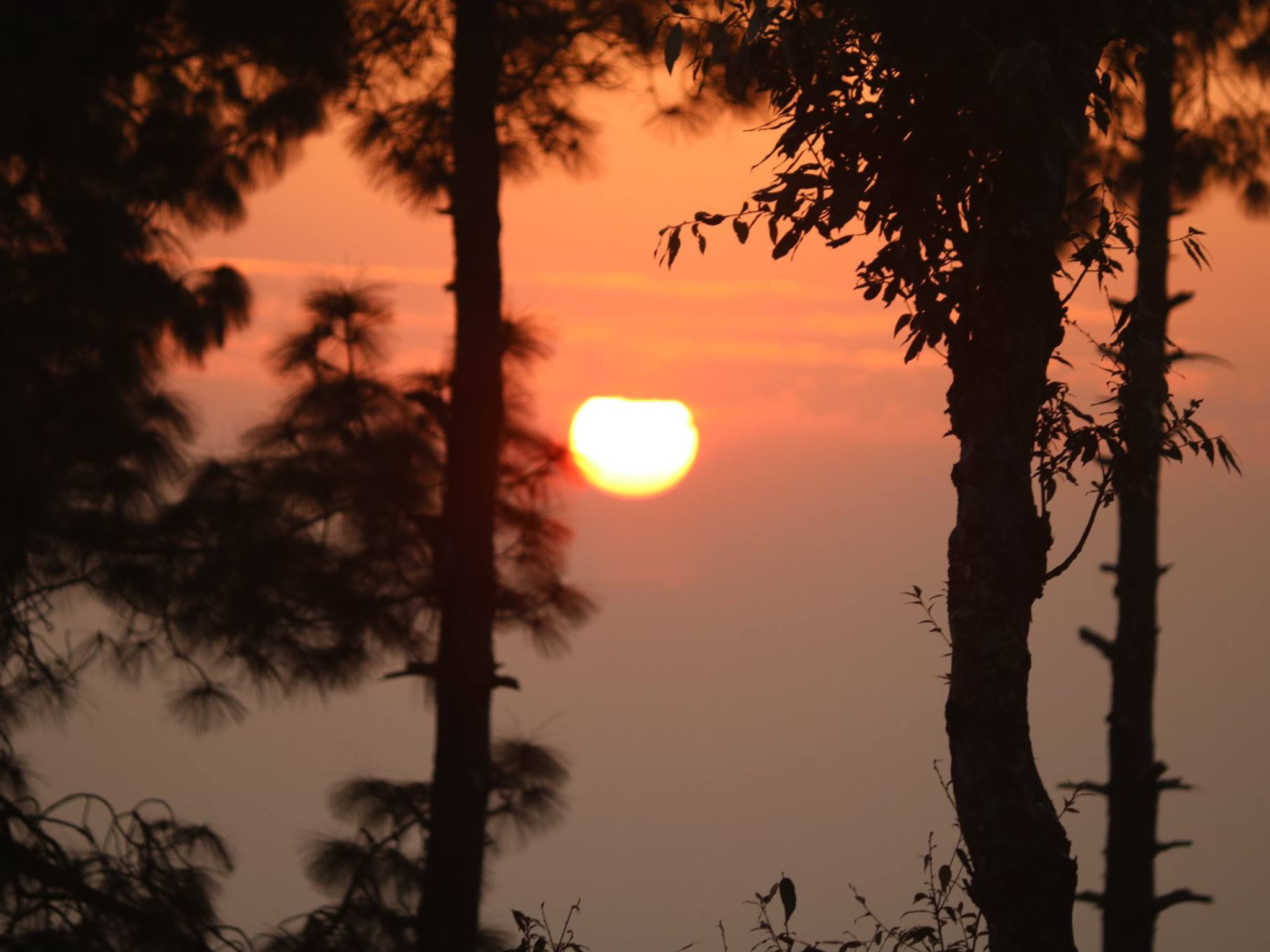 Sunset View