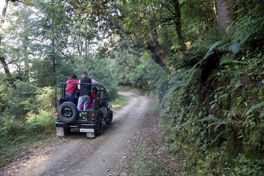 Jeep Safari near Dhanaulti