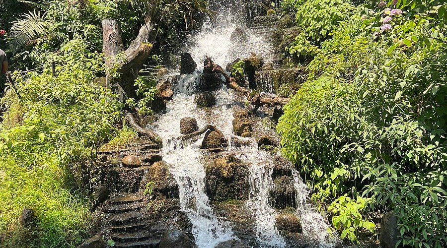 Company Garden Mussoorie